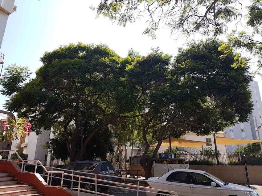 בית יפה לגיל הזהב ניהול ושירותים בע"מ – נתניה