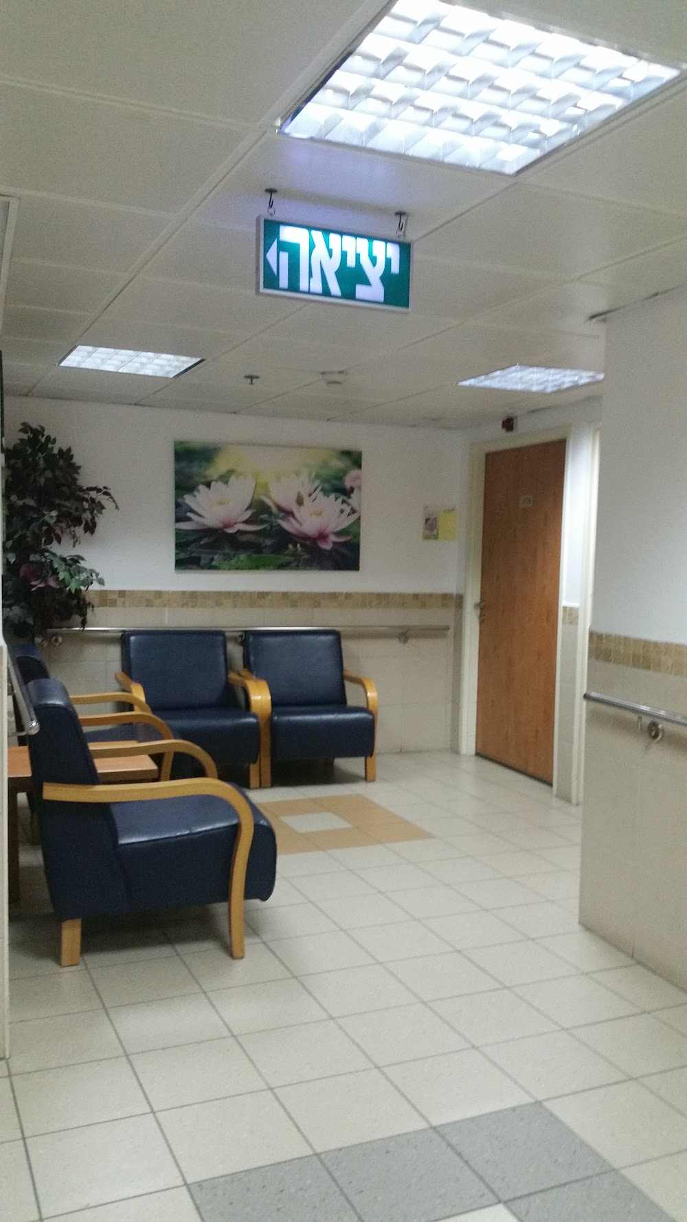 בית אבות רחל ליצ'ק - סניף אזור – ראשון לציון