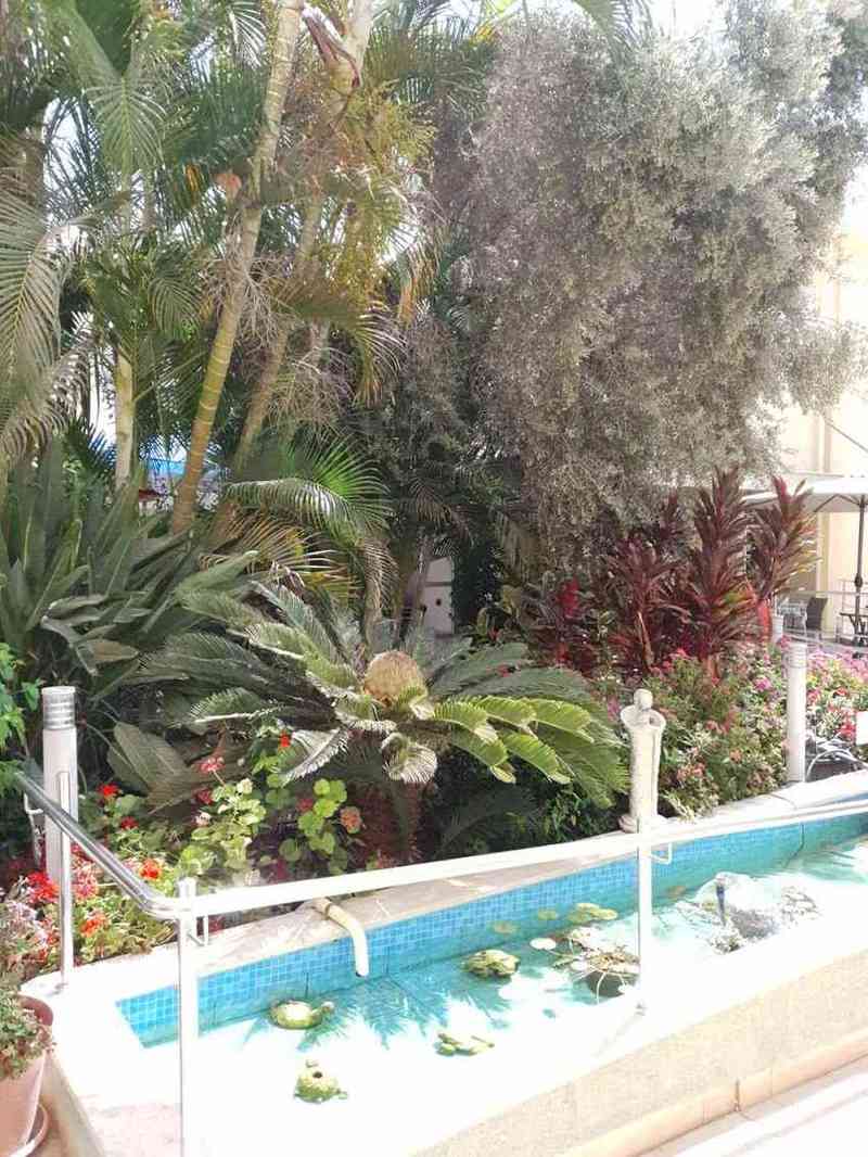 דיור מוגן ראשוני הכרמל – חיפה