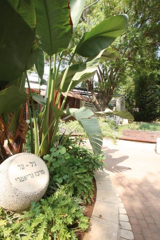 גיל עד מרכז גריאטרי – רמת גן