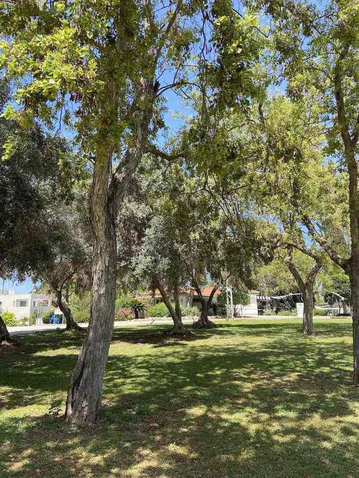 בית אבות בית חיל – אשקלון