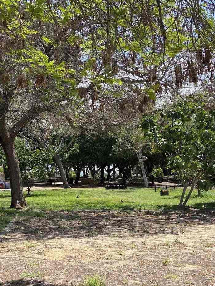 בית אבות בית חיל – אשקלון