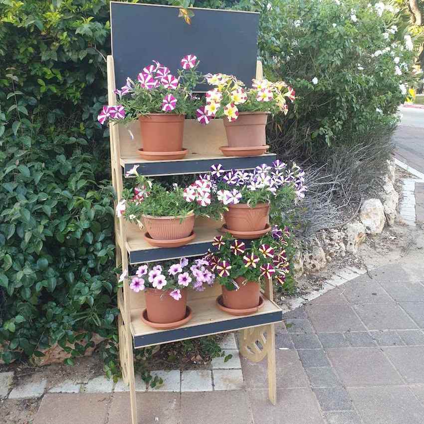 בית אבות נווה עמית – רחובות