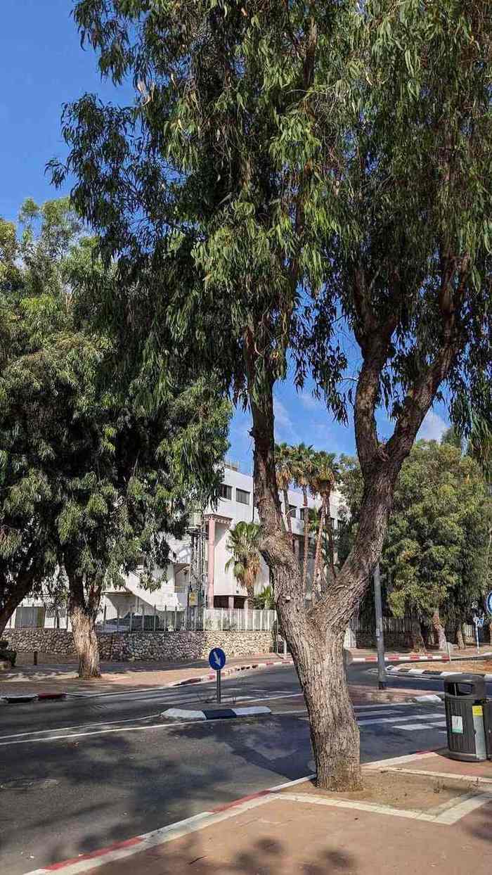 בית אבות אשדוד – אשדוד