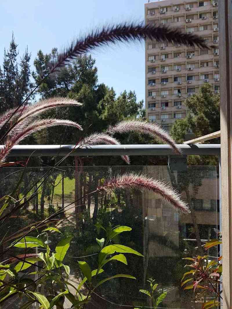 שלוה – גבעתיים