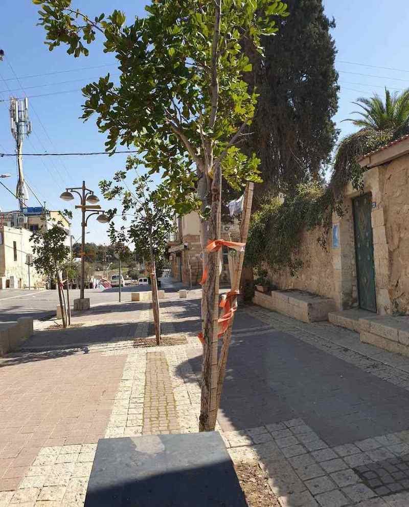 בית אבות דורות בנגב – באר שבע