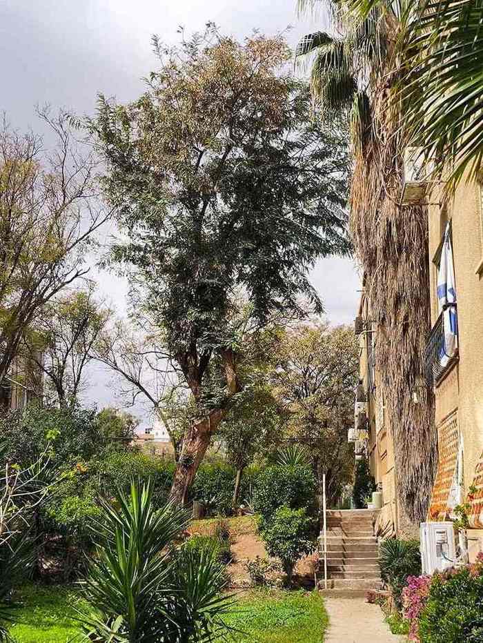 בית האבות העירוני באר שבע – באר שבע