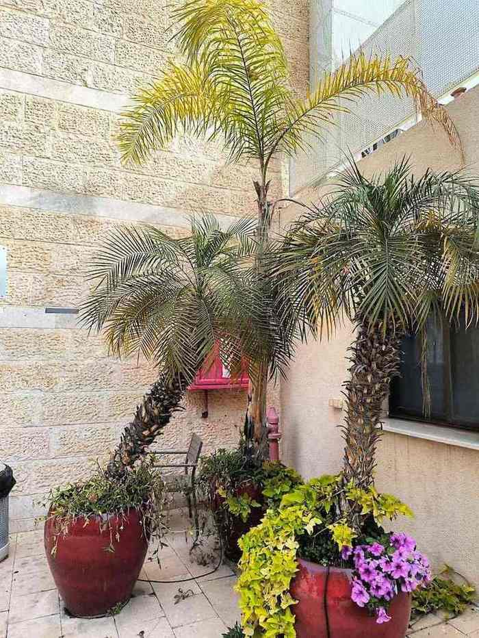 בית האבות העירוני באר שבע – באר שבע