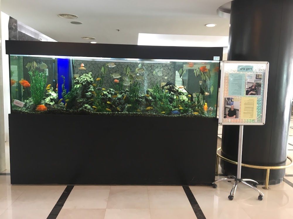 בית אבות הדסים – בני ברק