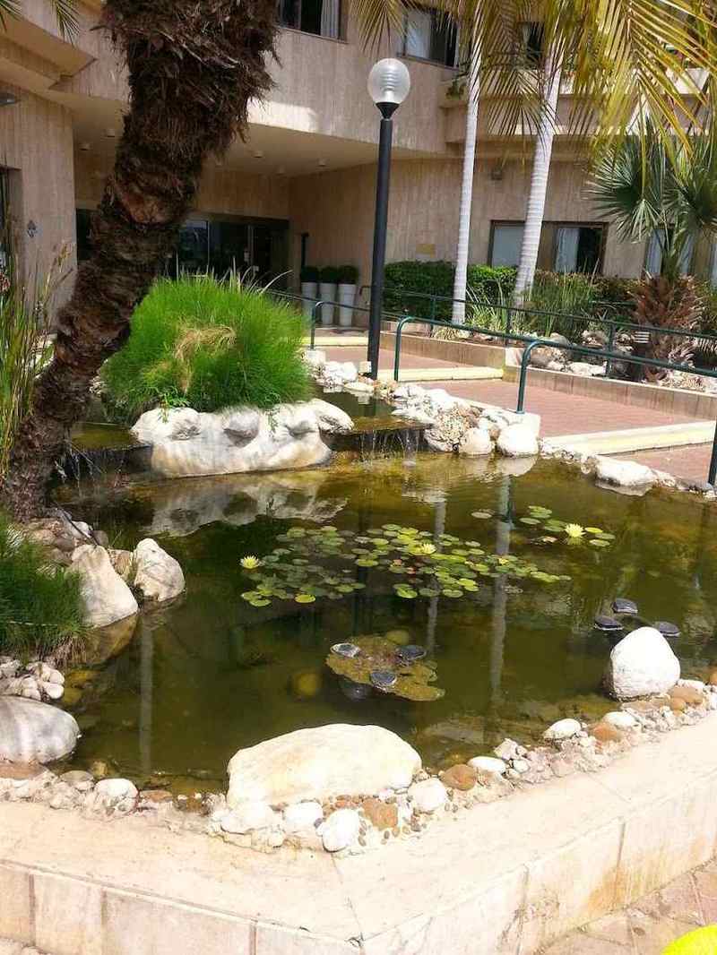 מגדלי הים התיכון כפר סבא - דיור מוגן בכפר סבא – כפר סבא