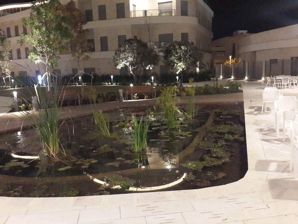 דיור מוגן במודיעין - עזריאלי פאלאס – מודיעין