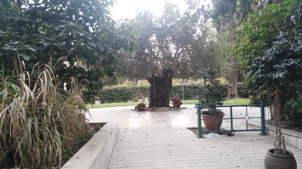 גן בעיר דיור מוגן – רמת גן