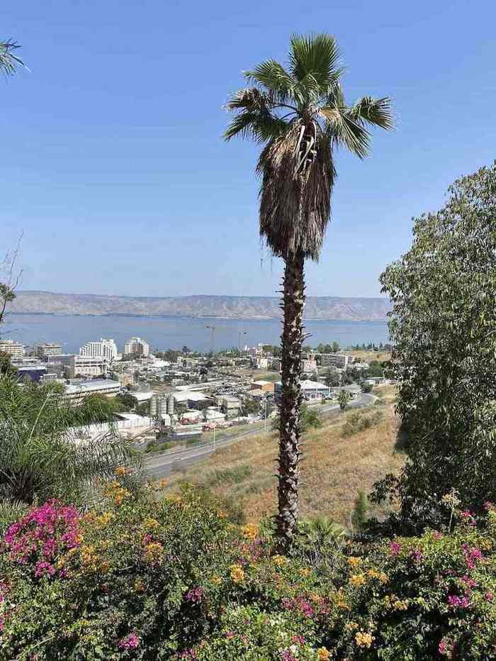 בית אבות עמל טבריה – טבריה