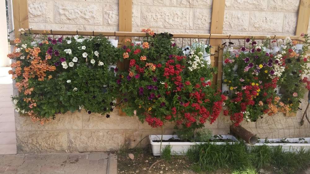 נווה הורים ירושלים – ירושלים