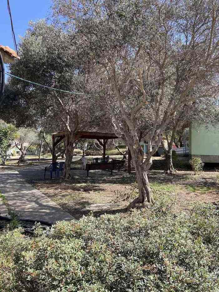 בית הזית – נהריה