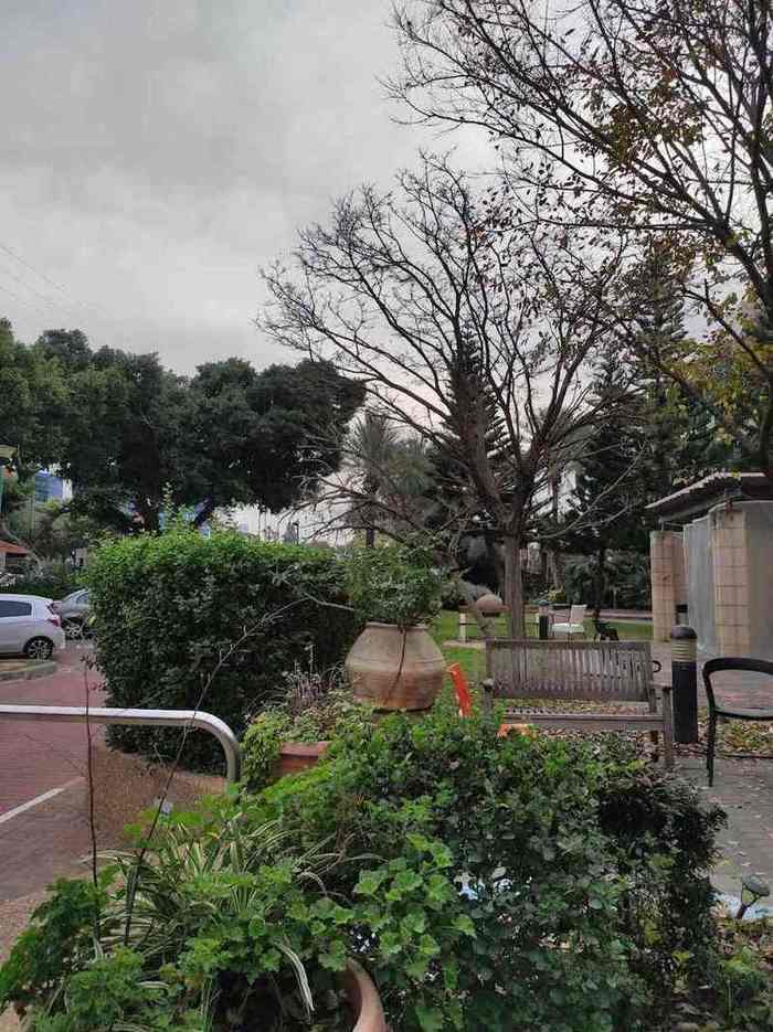 מרכז שיקומי בית בלב – כפר סבא
