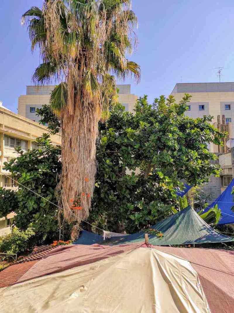 מרכז שיקומי בית בלב – כפר סבא