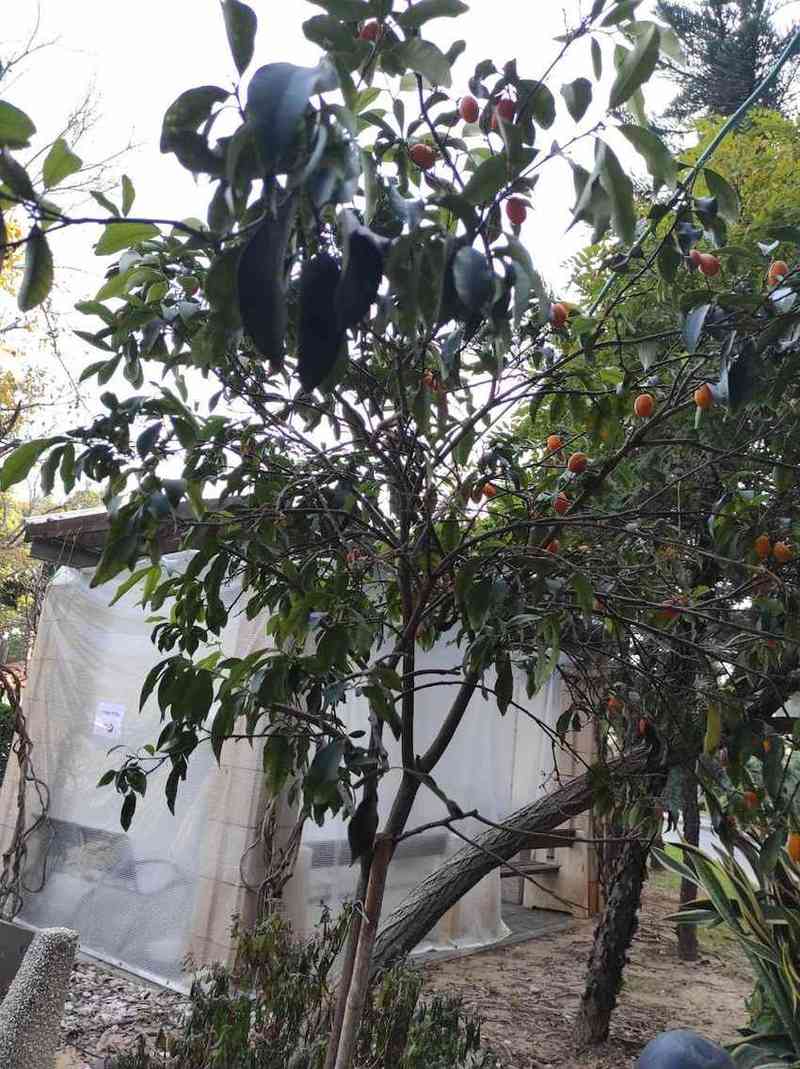 מרכז שיקומי בית בלב – כפר סבא