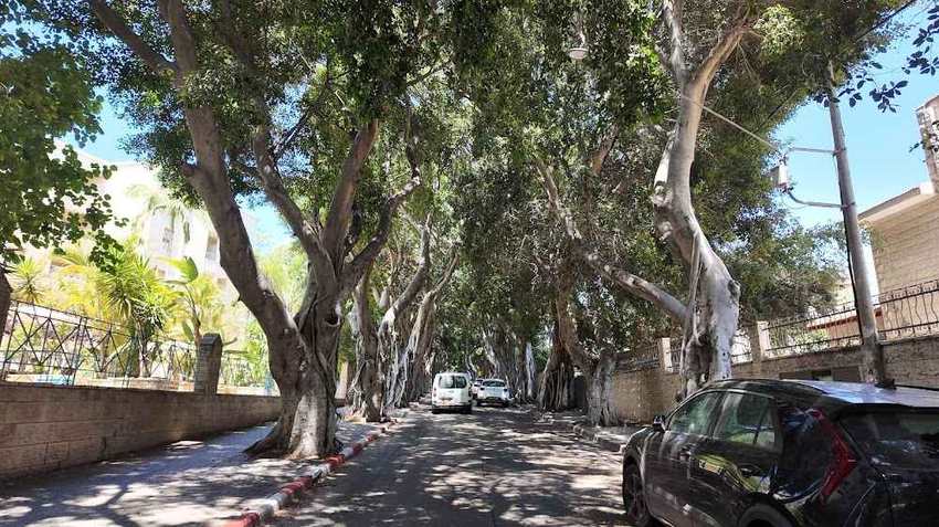 בית משהד - בית אבות בהרצליה – הרצליה