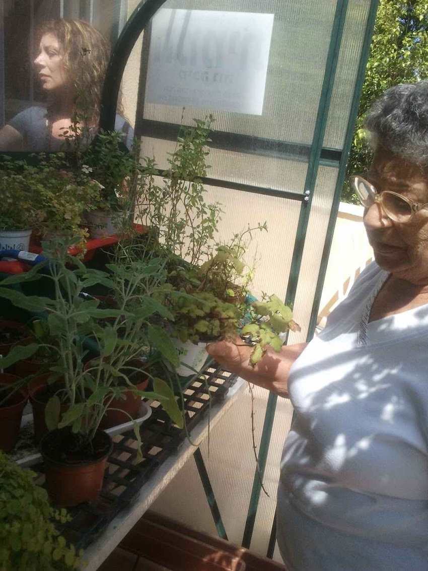 בית אבות בני ברית – חיפה