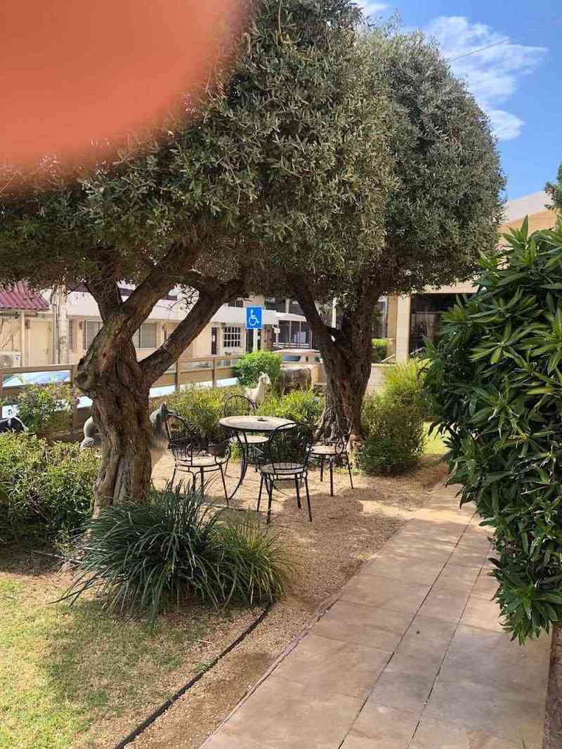 ירדן לגיל הזהב – נהריה