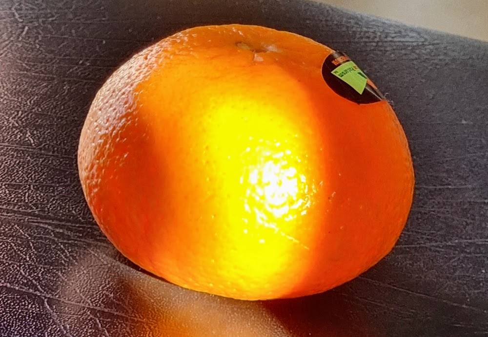 בית אבות גרינשטיין – נתניה
